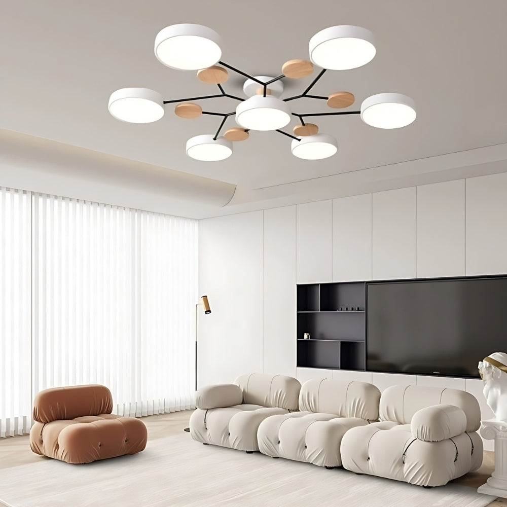 Multihead Disc Morandi Color Branch Ceiling Light