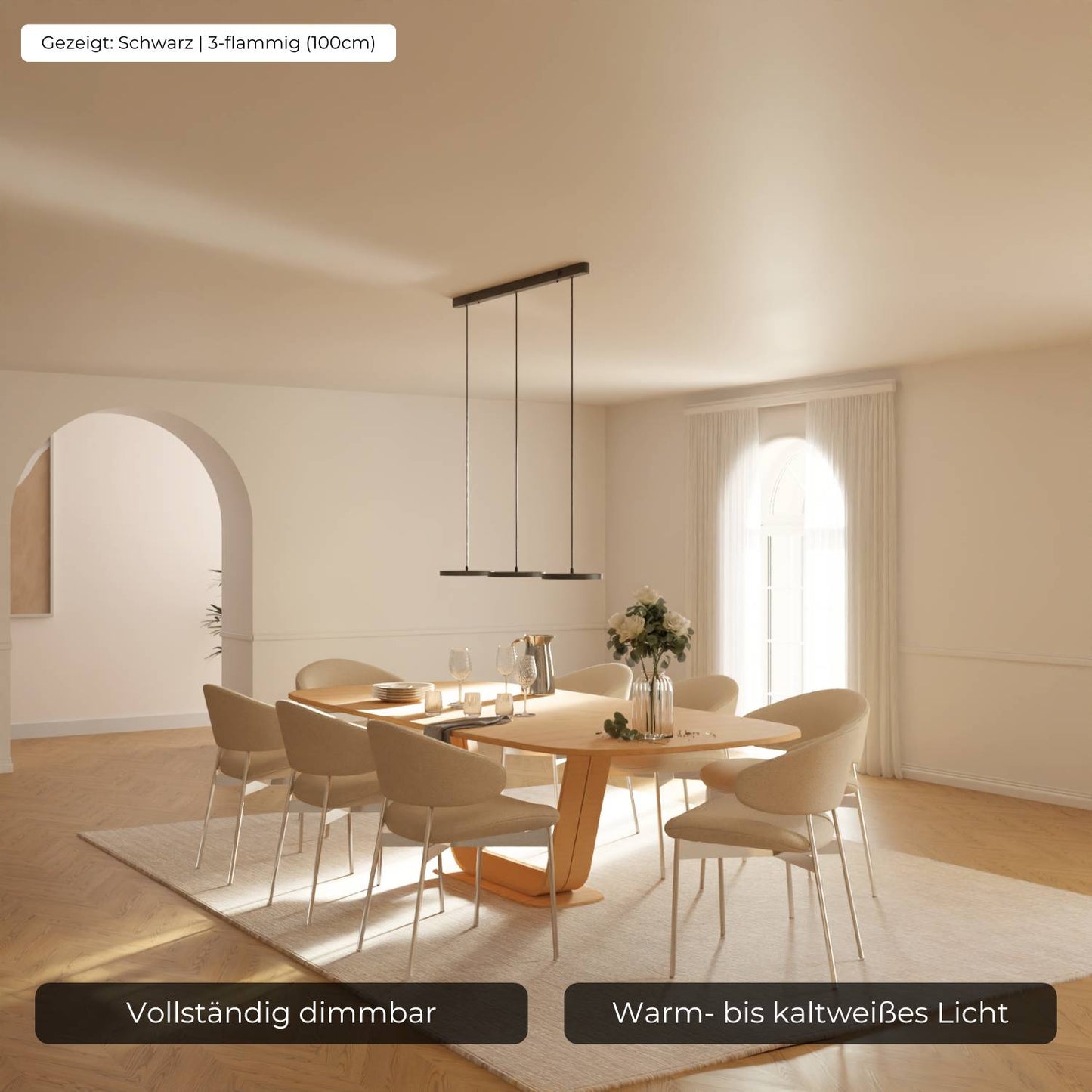 Minimalist Round Flat Evanos Pendant Light
