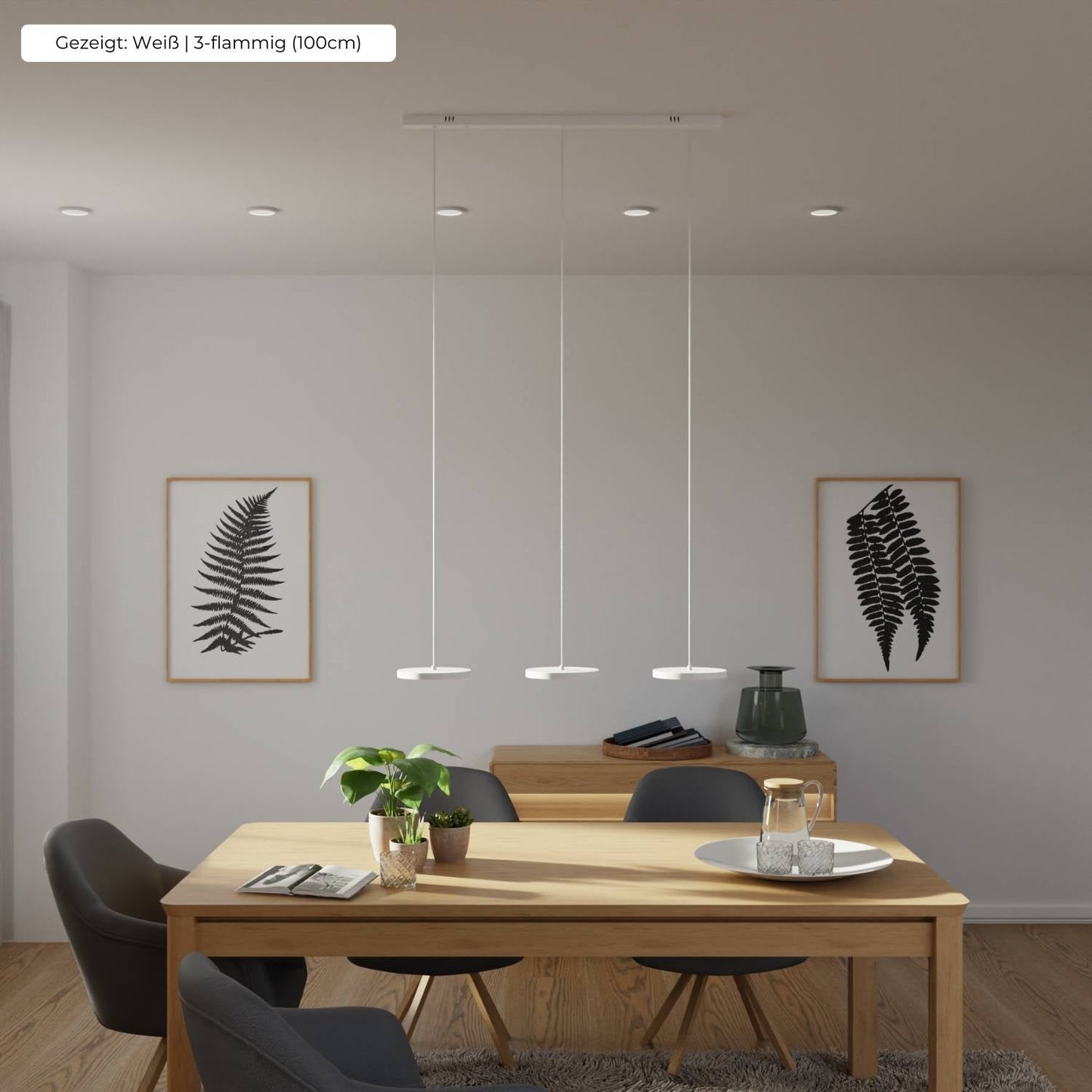 Minimalist Round Flat Evanos Pendant Light