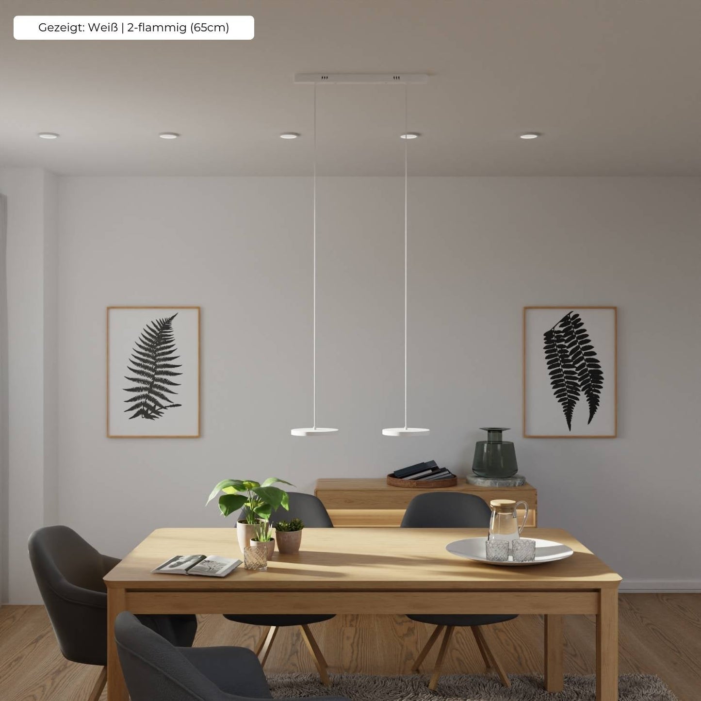 Minimalist Round Flat Evanos Pendant Light