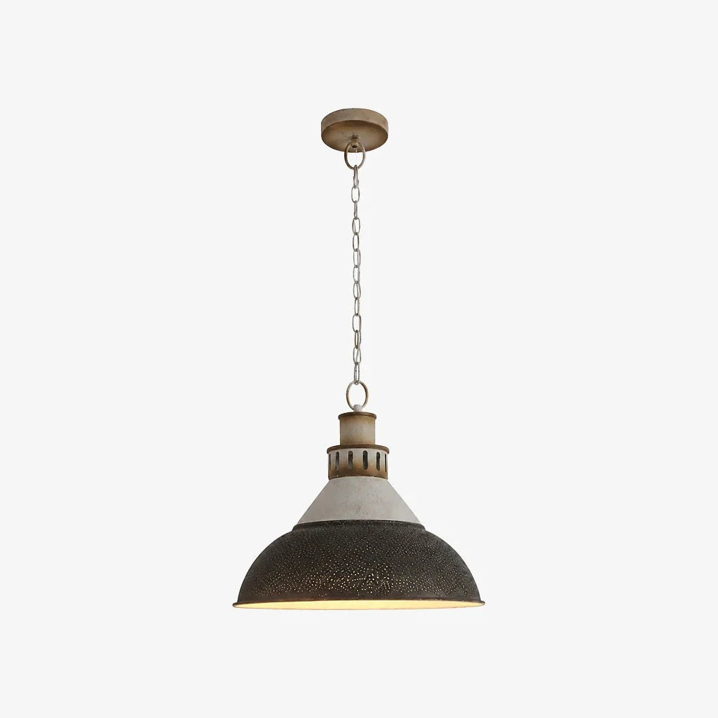industrial dome pendant light color variant