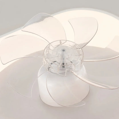 Transparent fan blade detail on ceiling fan light