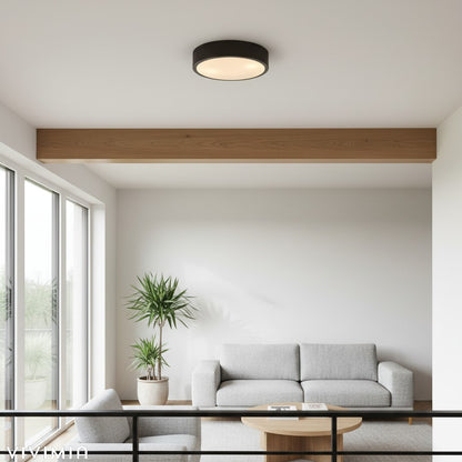 Crelina Minimalist Flush Mount Lighting for Bedrooms & Hallways