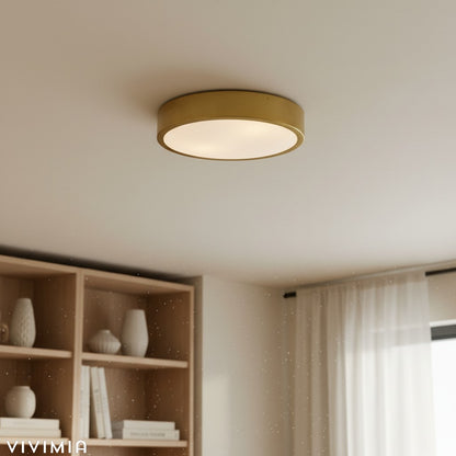Crelina Minimalist Flush Mount Lighting for Bedrooms & Hallways