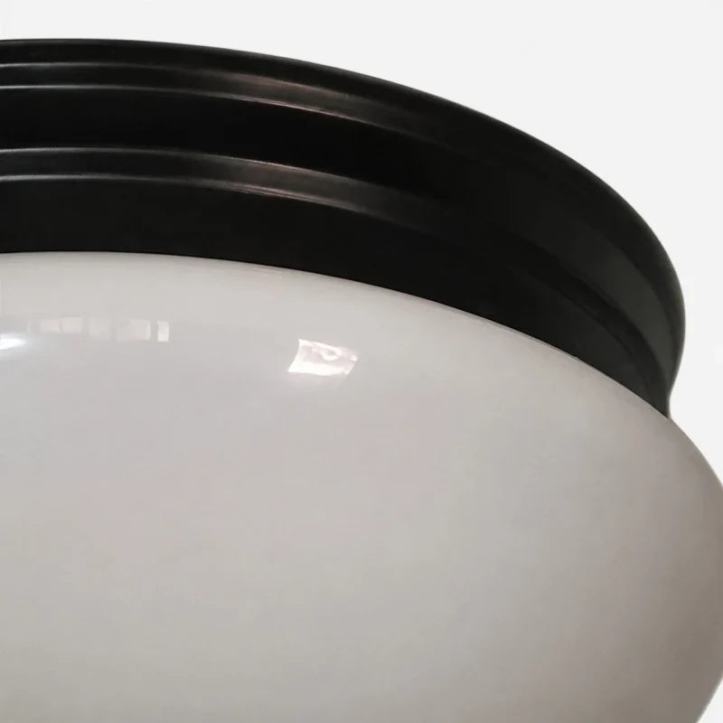 Close detail of opal glass shade and black canopy rim