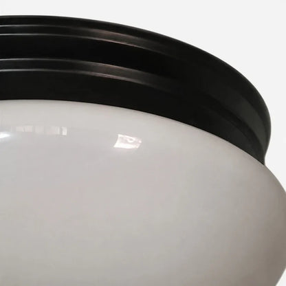 Close detail of opal glass shade and black canopy rim