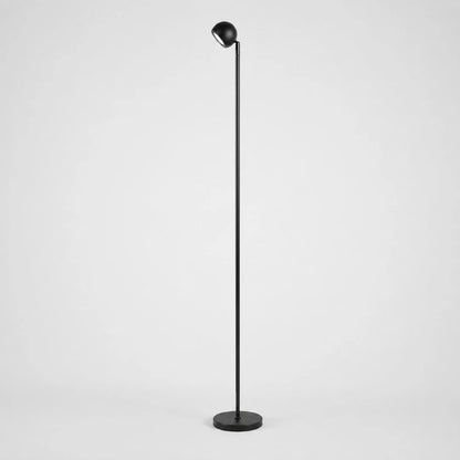 Minimalist Black Smart Remote Floor Lamp