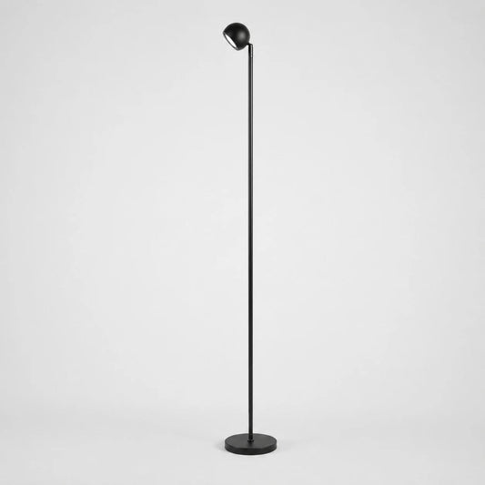 Minimalist Black Smart Remote Floor Lamp
