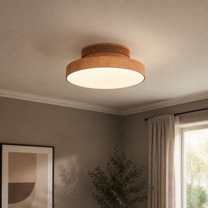 Round LED ceiling light 14