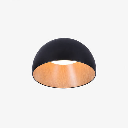Duo Ceiling Lamp