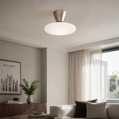 modern sofa area with close ceiling mount view