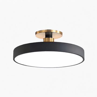 Ceilivon Ceiling Light Wide Diffuser Flush Mount Ceiling Light - Modern Style for Living Room