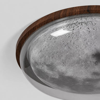 walnut moon wall light scene and detail