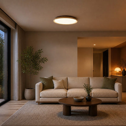 Torvella Round Ceiling Light Sculptural Disc Flush Mount - Modern Natural Bedroom Lighting