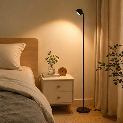 Minimalist Black Smart Remote Floor Lamp