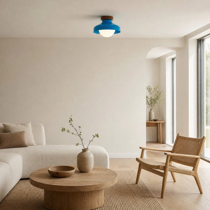 Elystra Modern Ceiling Light Minimalist Glass Shade Metal Fixture for Living Room Kitchen Hallway