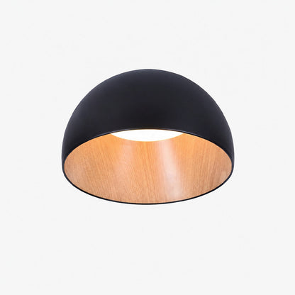 Duo Ceiling Lamp