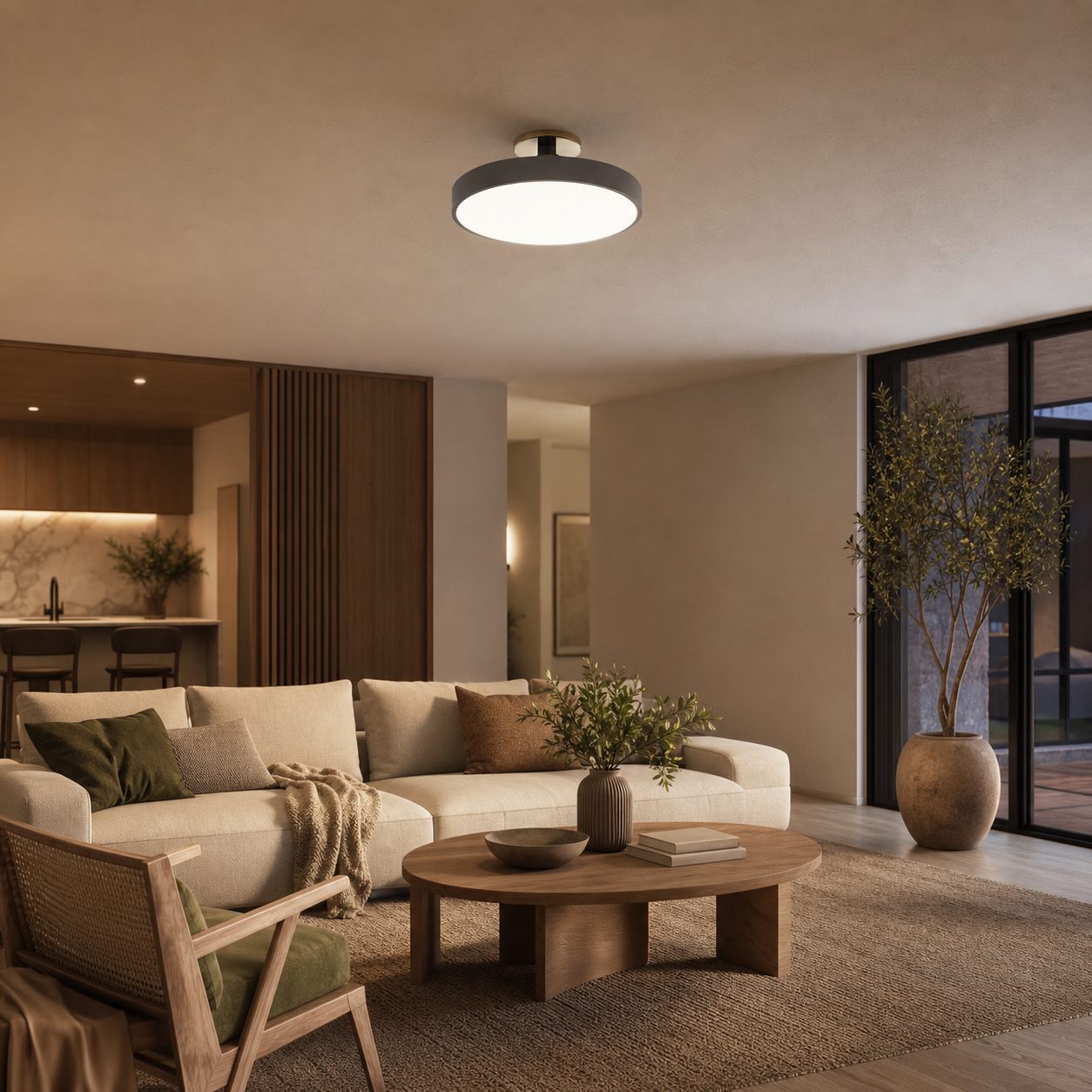 Ceilivon Ceiling Light Wide Diffuser Flush Mount Ceiling Light - Modern Style for Living Room