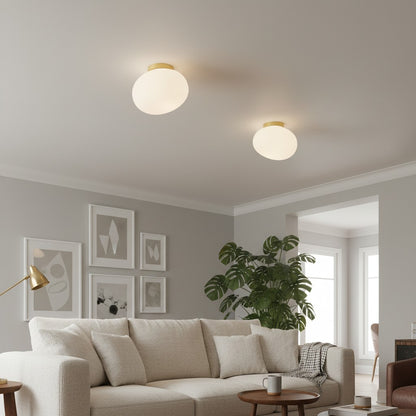 Stonea Organic Pebble Silhouette Wall Ceiling Lamp Contemporary Glass Light for Home N16