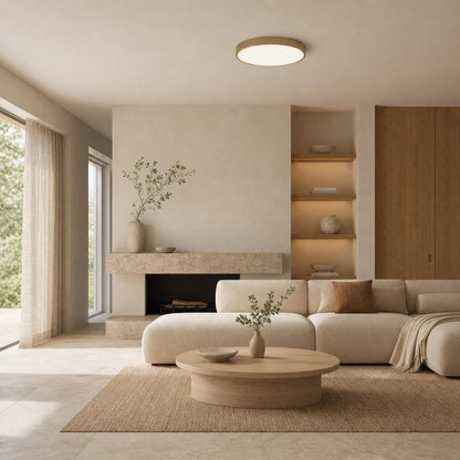 Rondi Minimalist Round LED Ceiling Light - Circular Iron Design for Living Room and Bedroom
