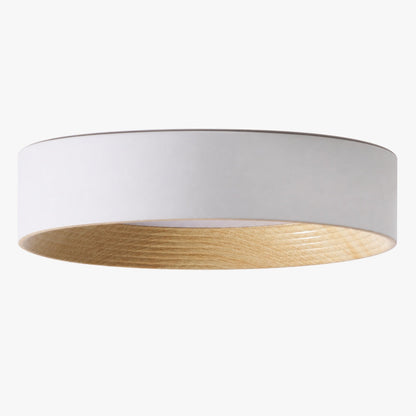 Cedronis Minimalist Ceiling Fixture - Modern Indoor Lighting Solution