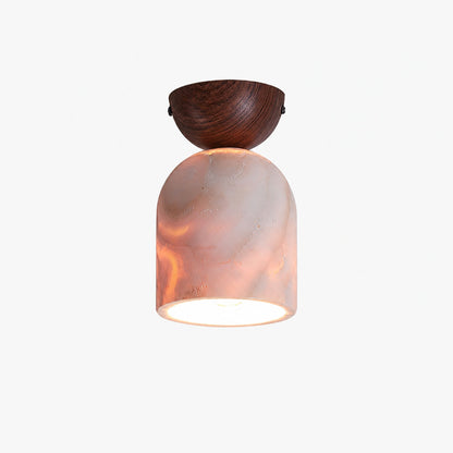 Terrene Cone Ceiling Lamp