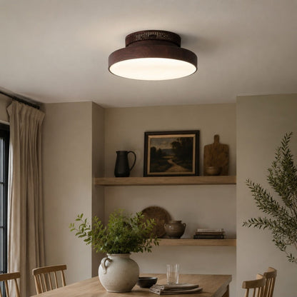 Round LED ceiling light 13