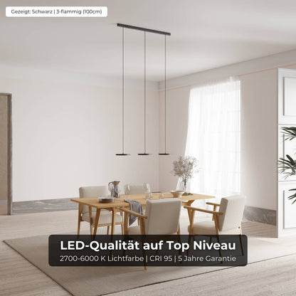 Minimalist Round Flat Evanos Pendant Light
